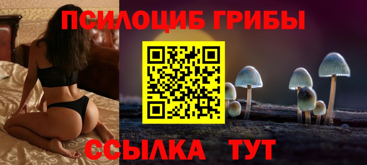 Галлюциногенные грибы мухоморы Петропавловск-Камчатский